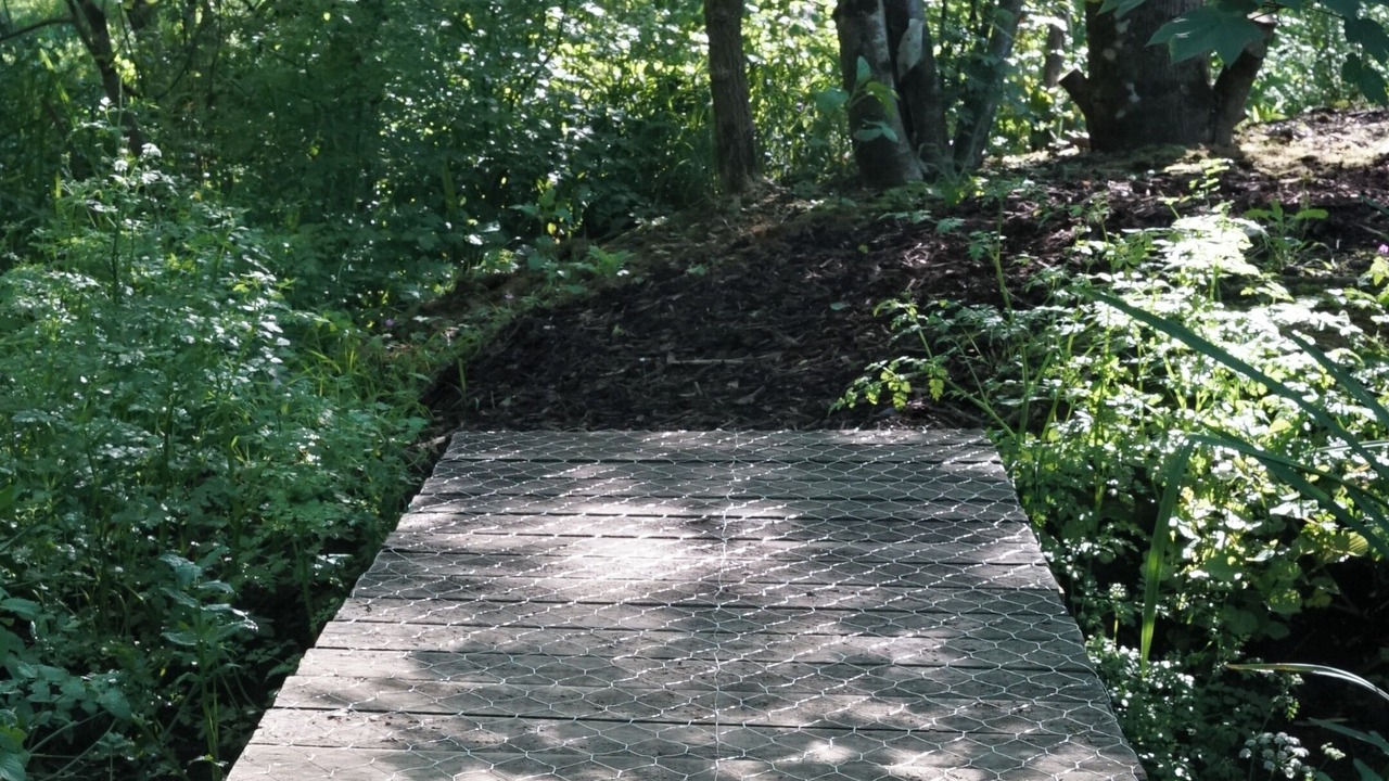 Photo of Others in Gillingham