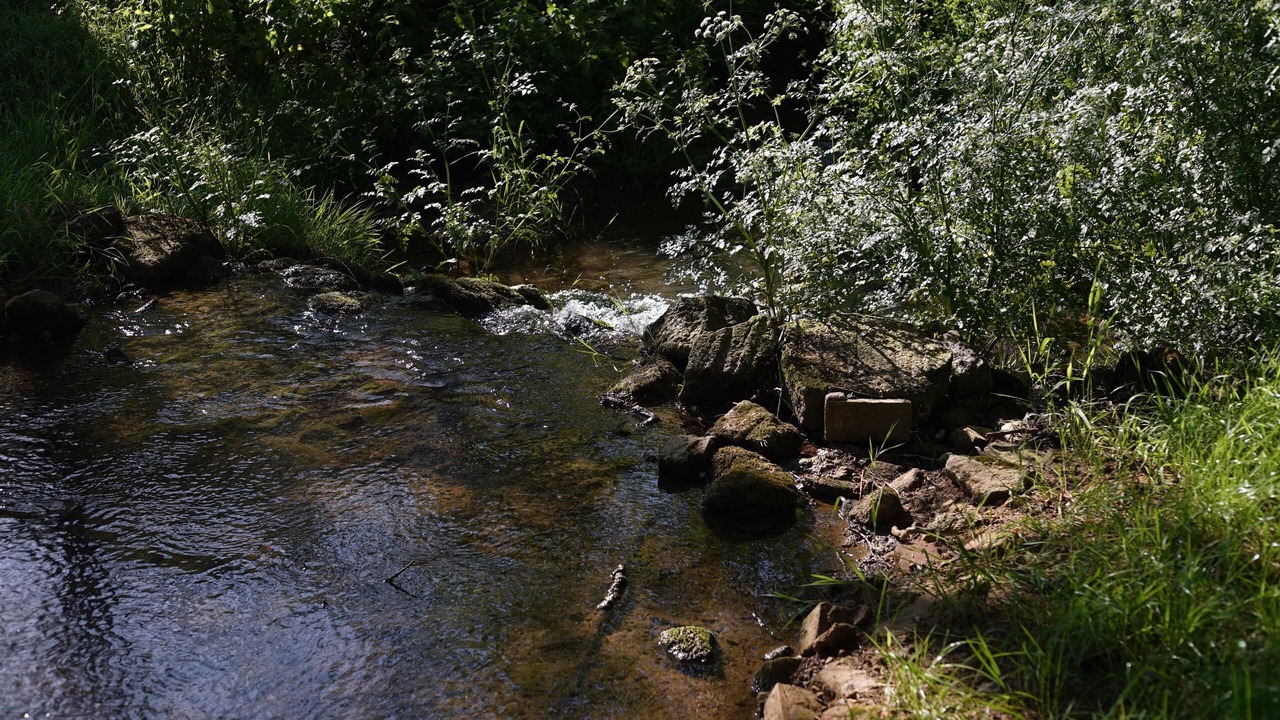 Photo of Others in Gillingham