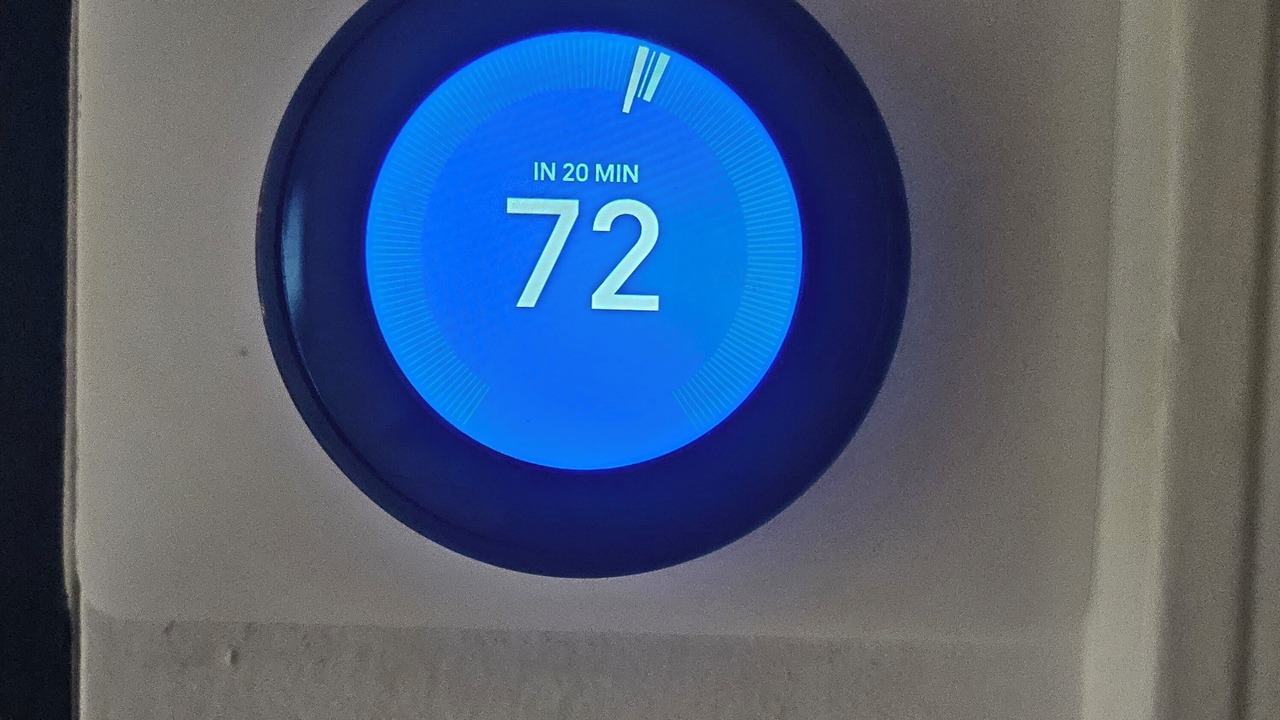 Photo of Others in Candler-McAfee