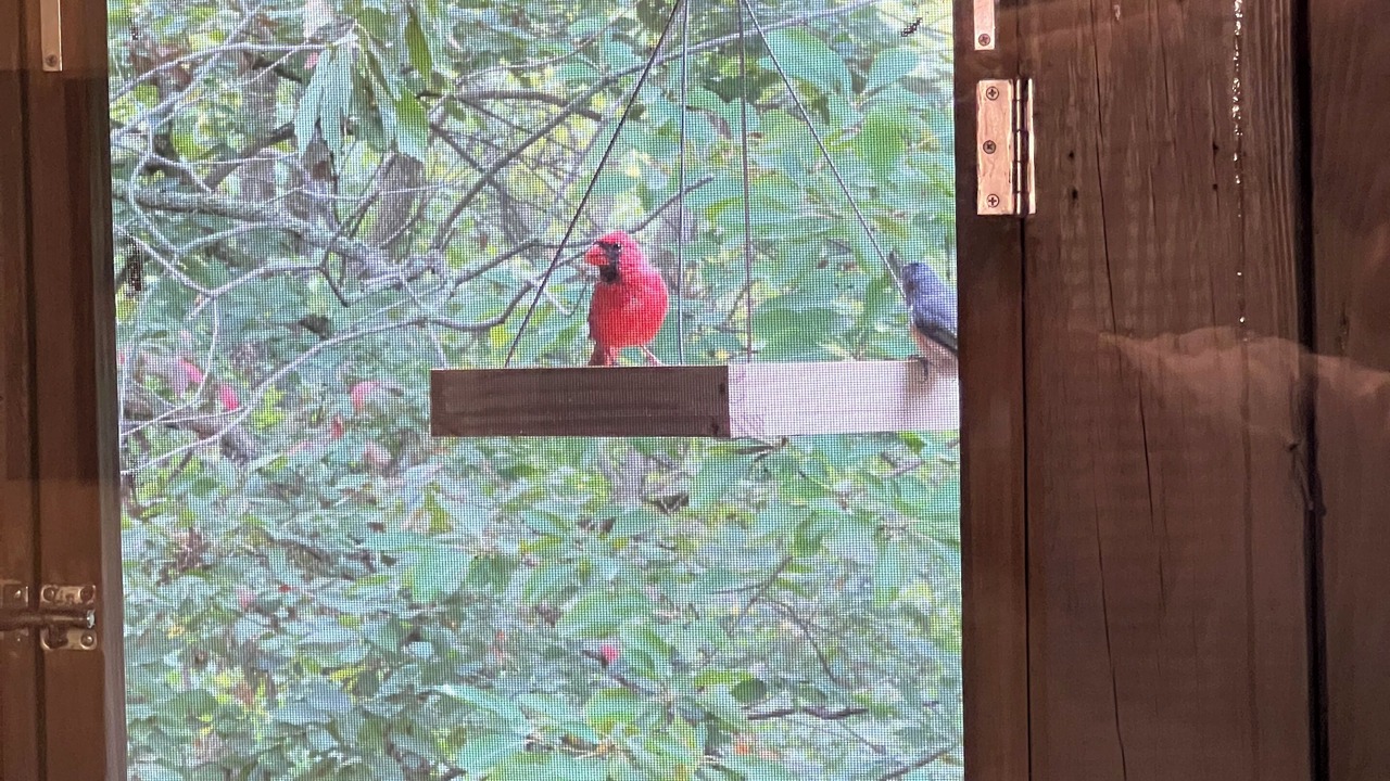 Photo of Others in Avoca
