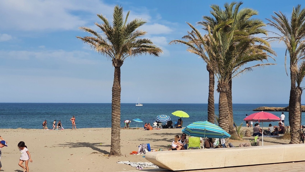 Photo of Others in Pedreguer