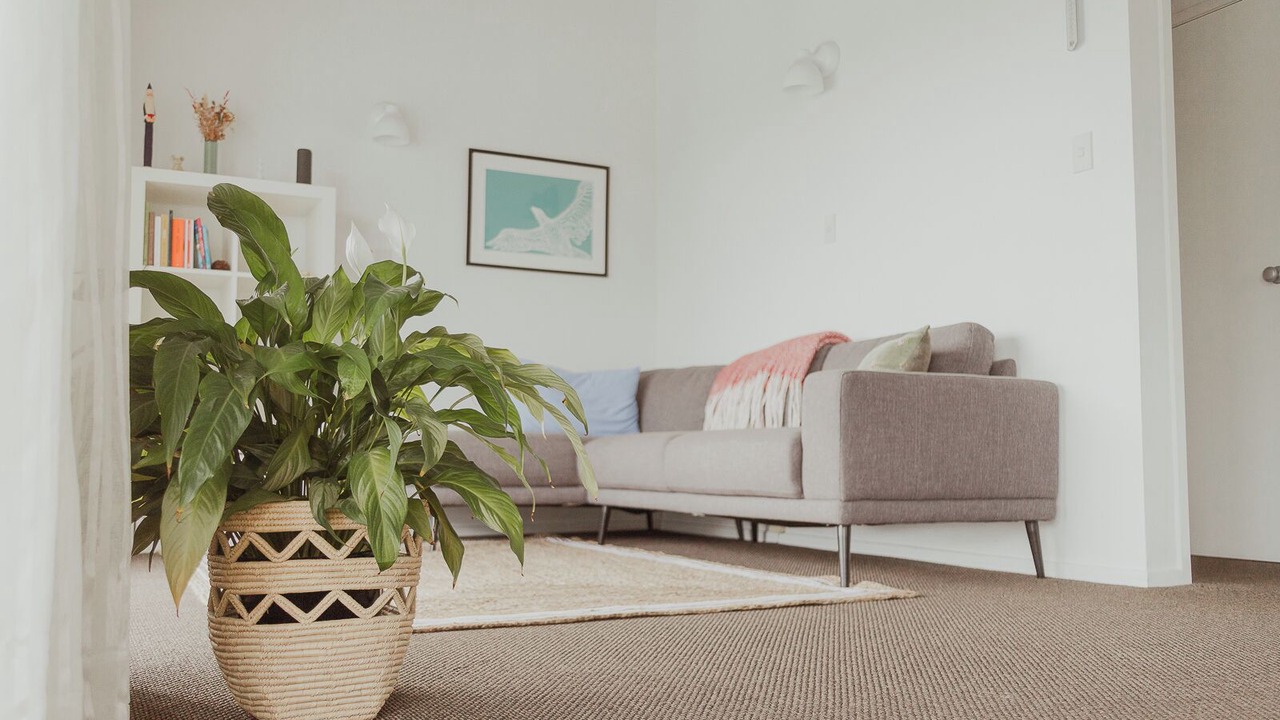 Photo of Livingroom in Cable Bay