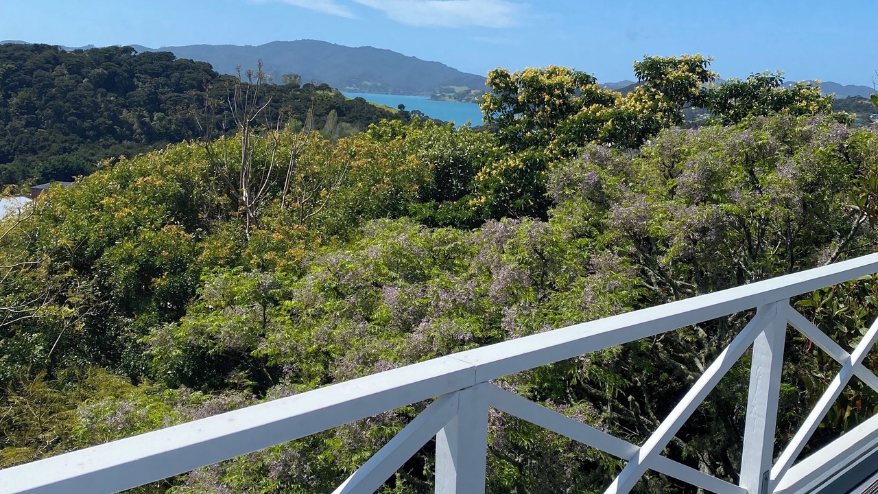 Photo of Outdoor in Cable Bay