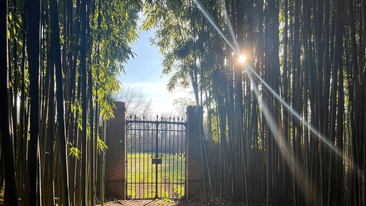 Photo of Others in Saint-Ambroix