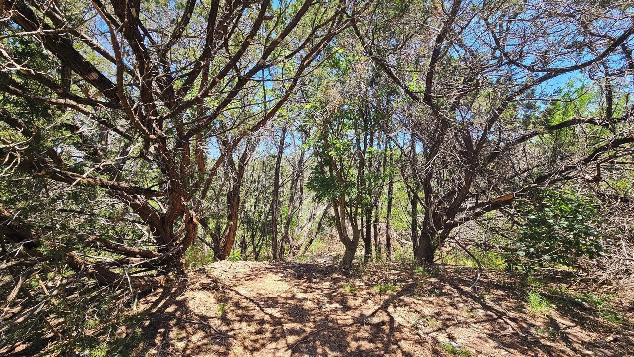 Photo of Outdoor in Whitney