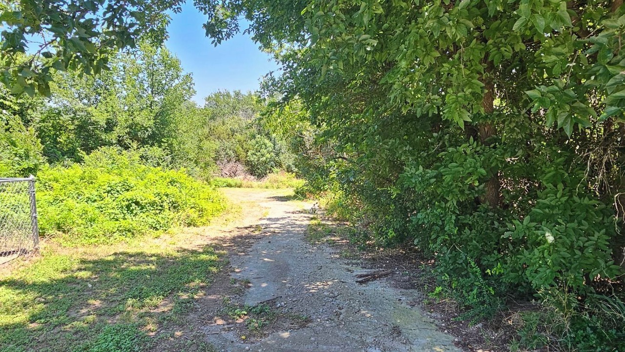 Photo of Outdoor in Whitney