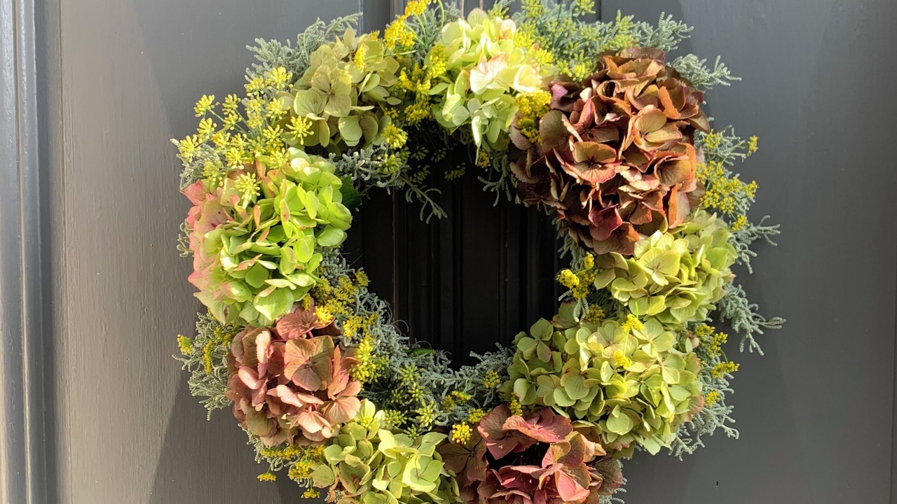 Photo of Outdoor in Moze-sur-Louet