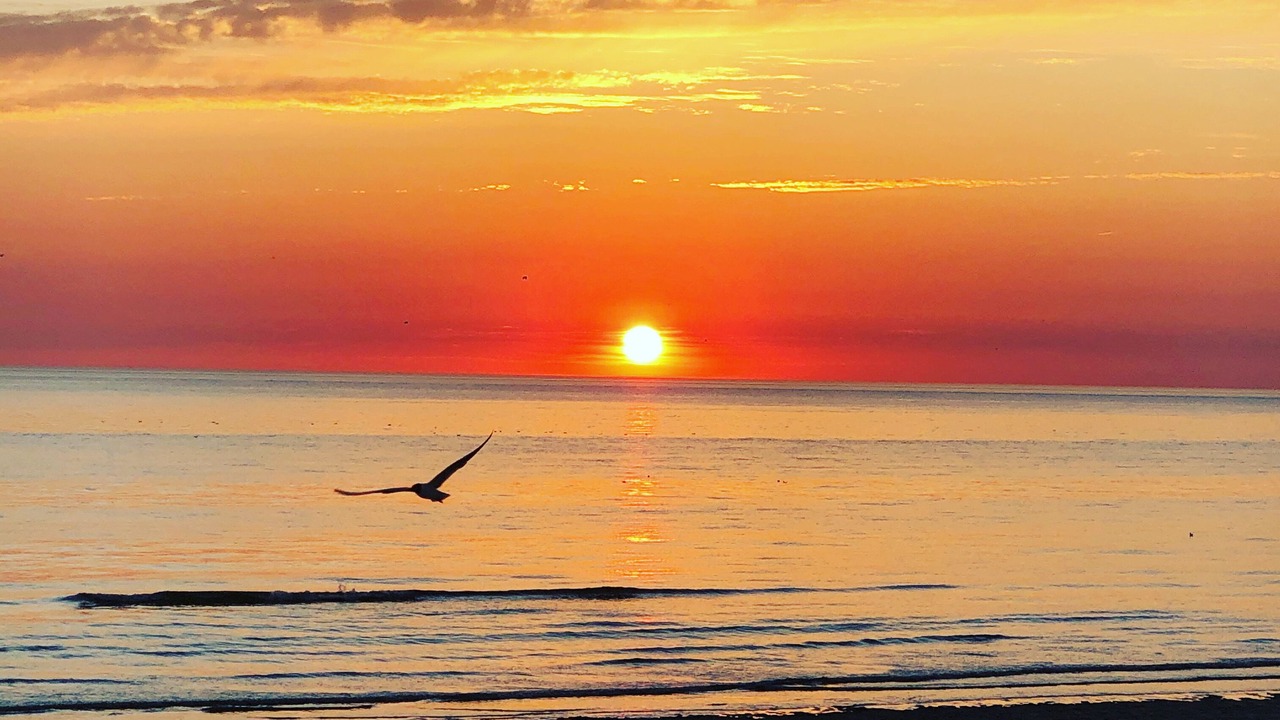 Photo of Others in Stella-Plage