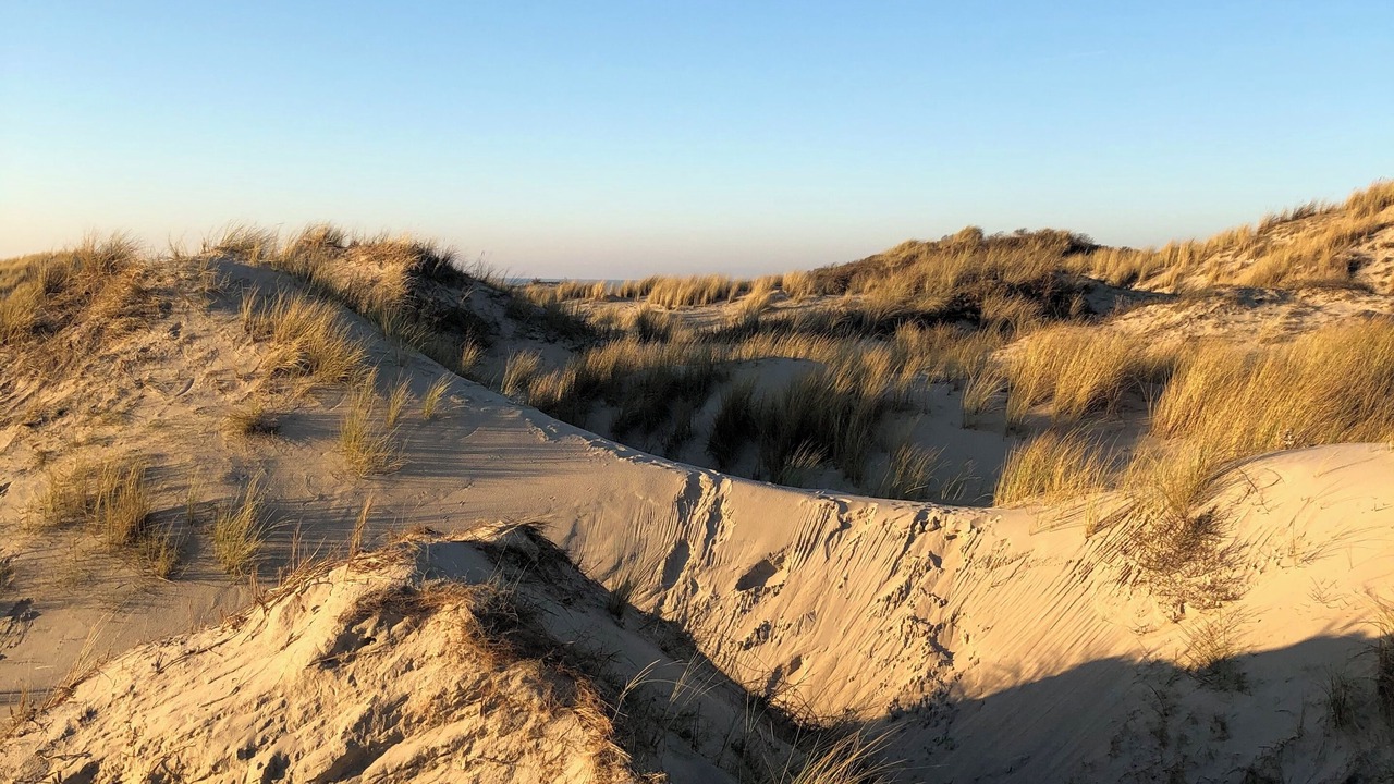 Photo of Others in Stella-Plage