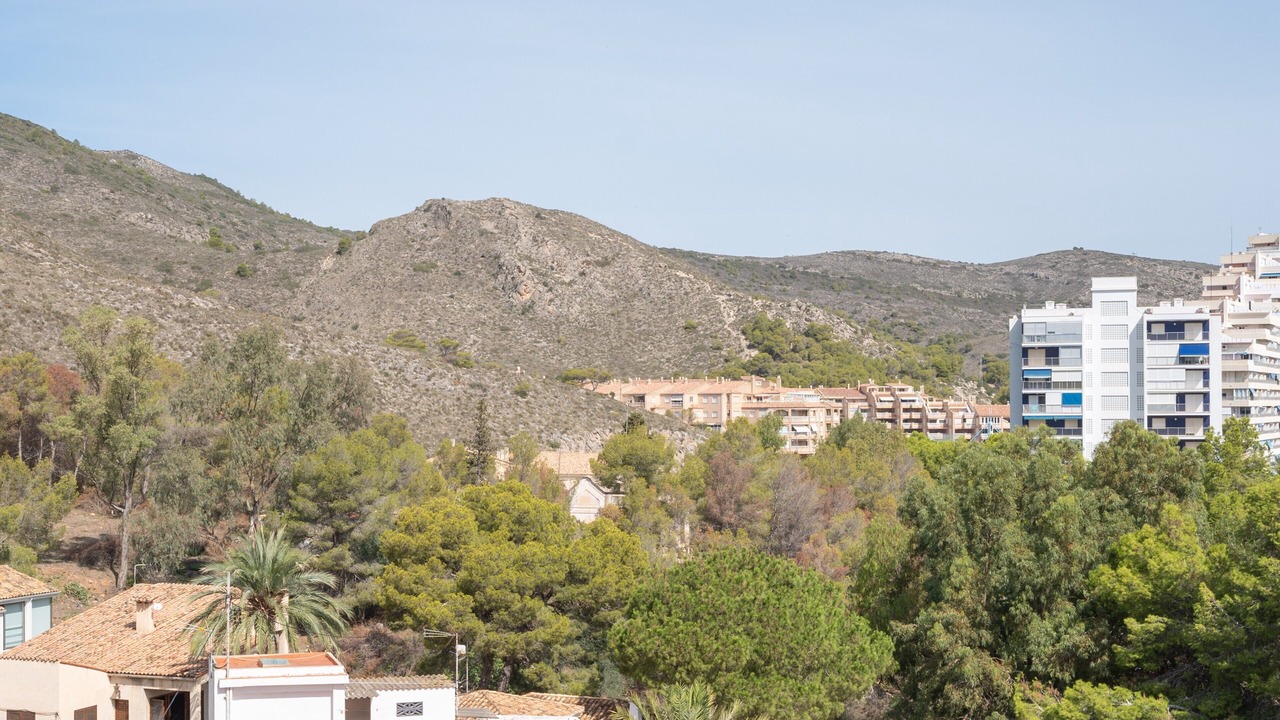 Photo of Others in Cullera