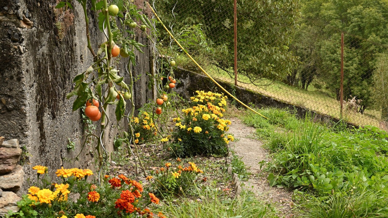 Photo of Outdoor in Melles