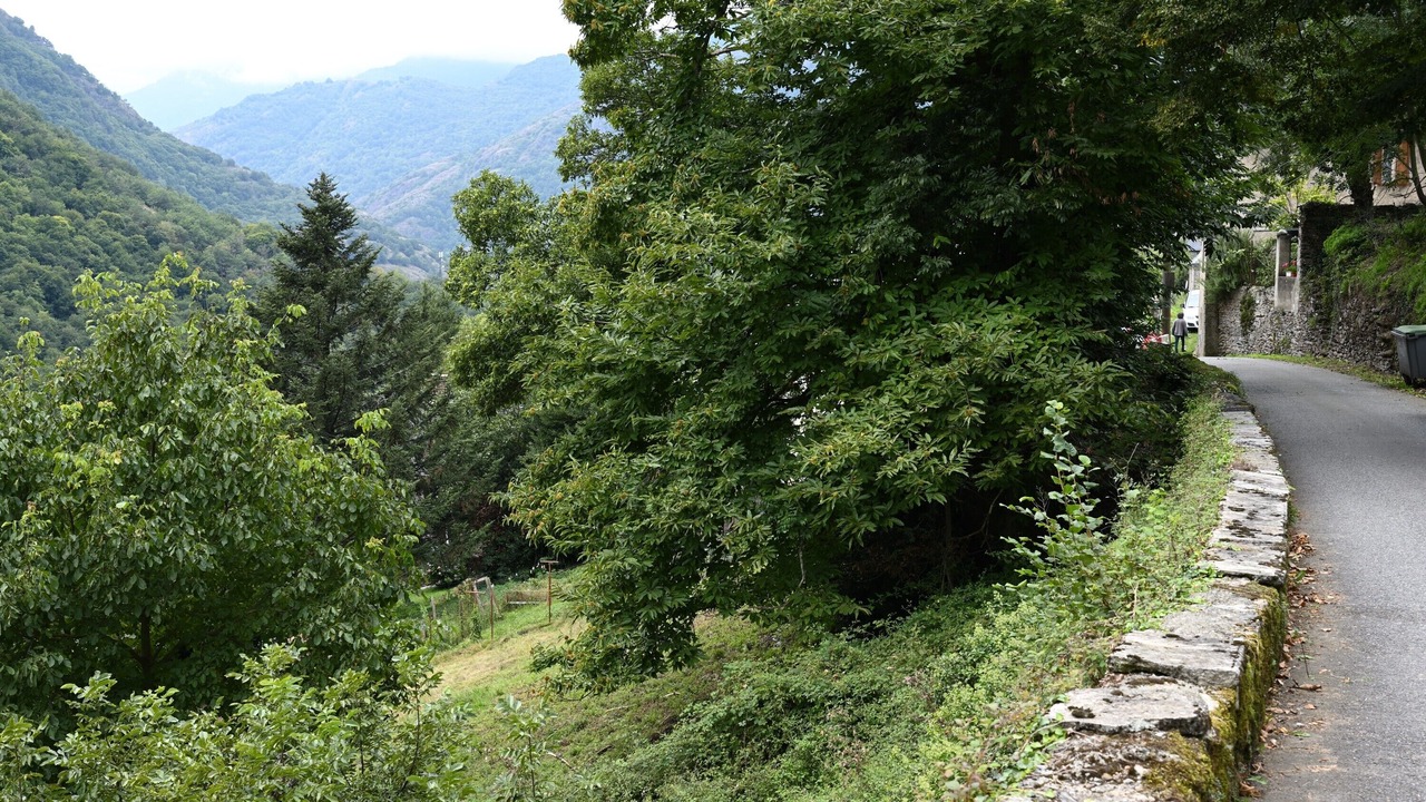 Photo of Others in Melles