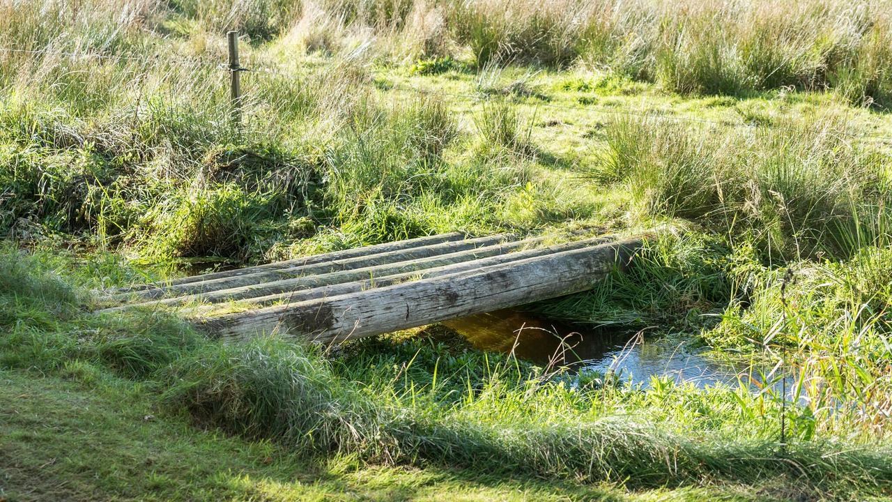 Photo of Others in Skjern