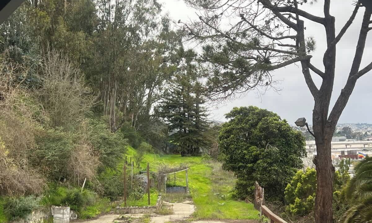 Photo of Outdoor in Silver Terrace