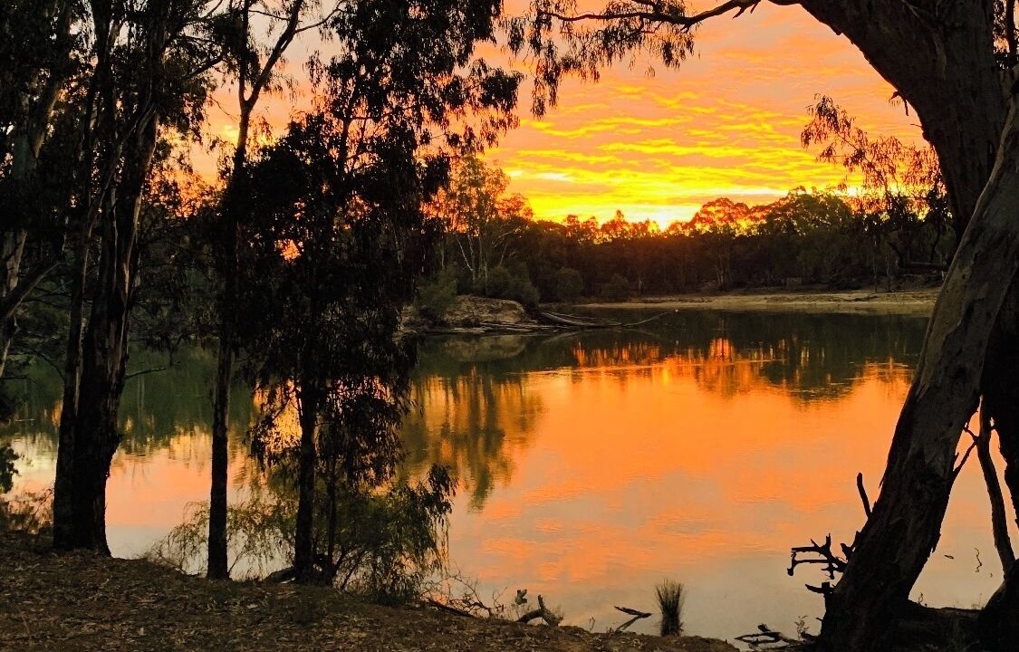 Photo of Others in Moama