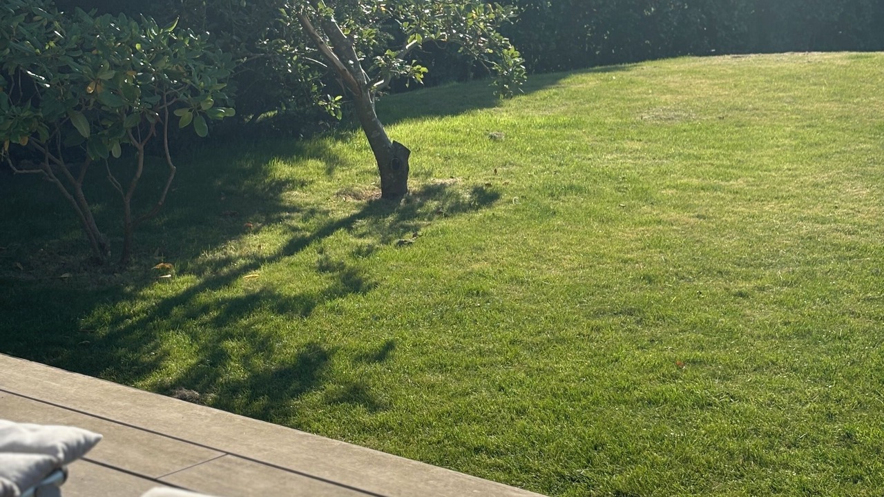 Photo of Outdoor in Horsholm