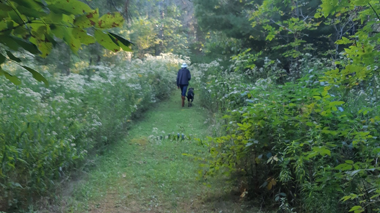 Photo of Others in Tay Valley