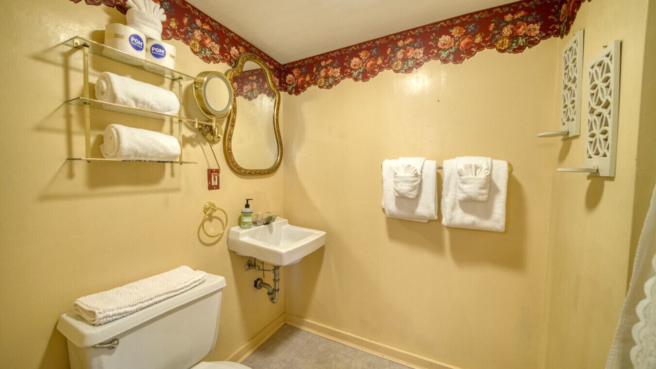 Photo of Bathroom in Eureka Springs Historic District