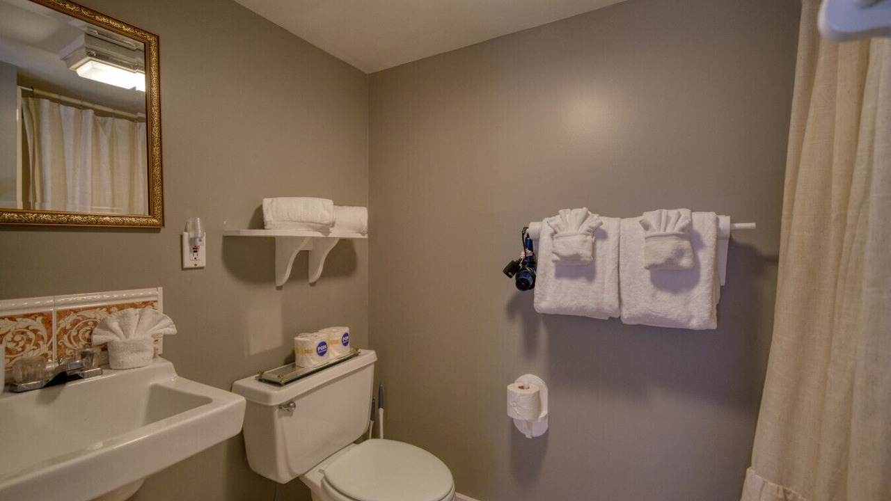 Photo of Bathroom in Eureka Springs Historic District