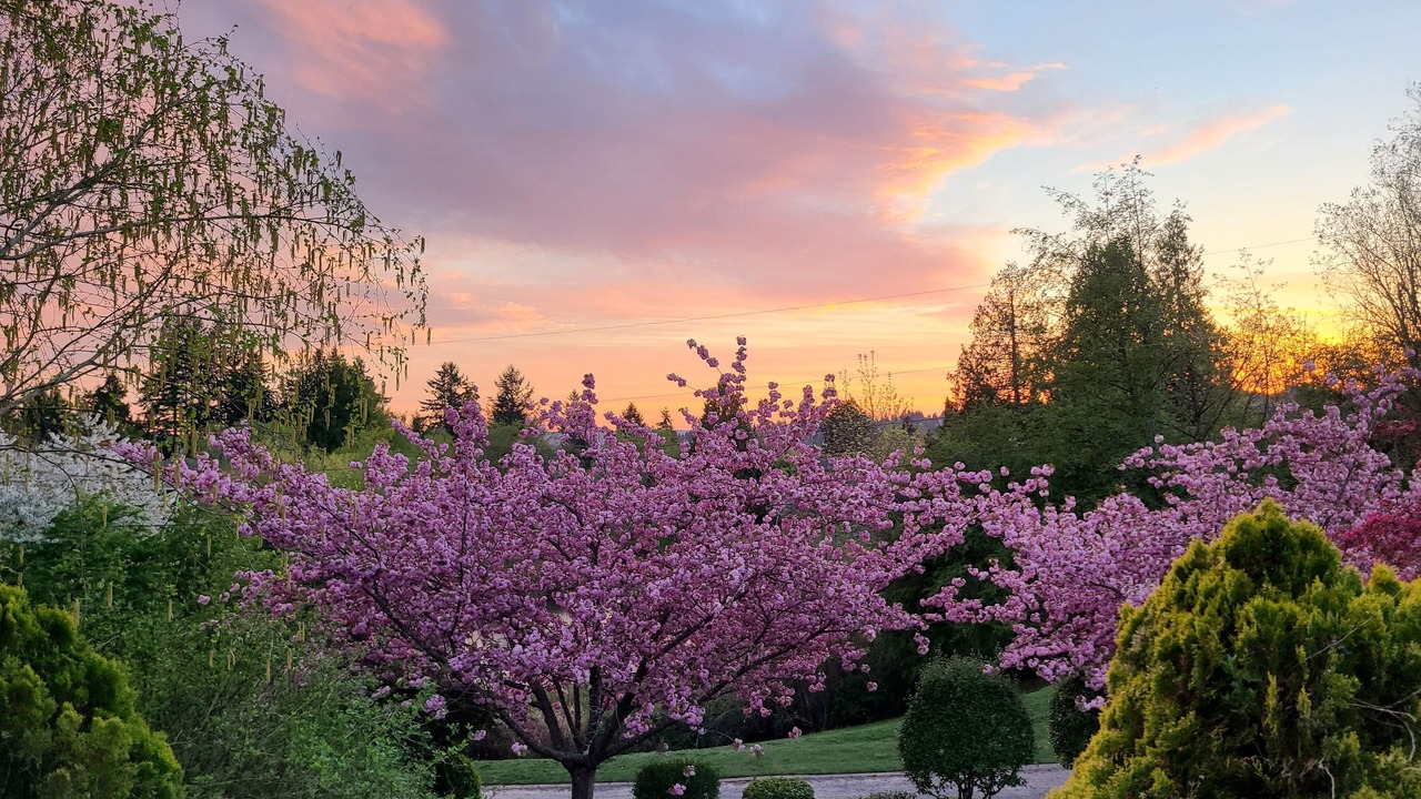 Photo of Others in Milton