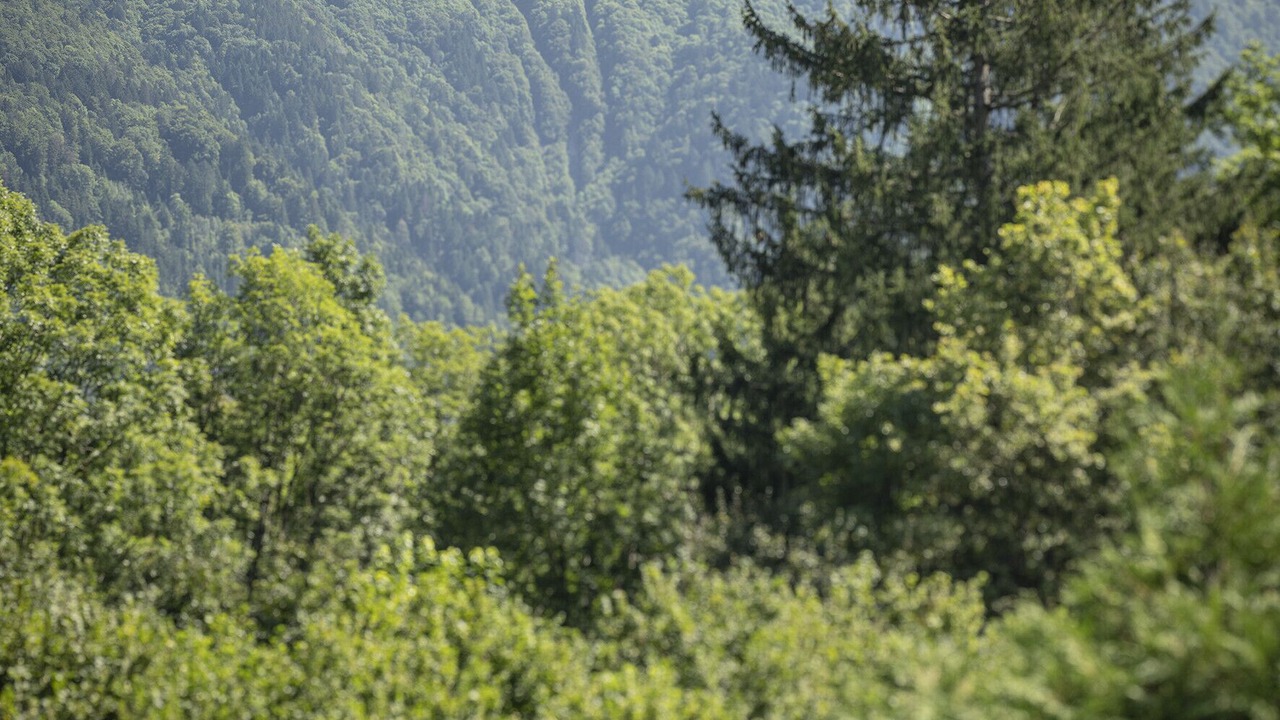 Photo of Others in Alex