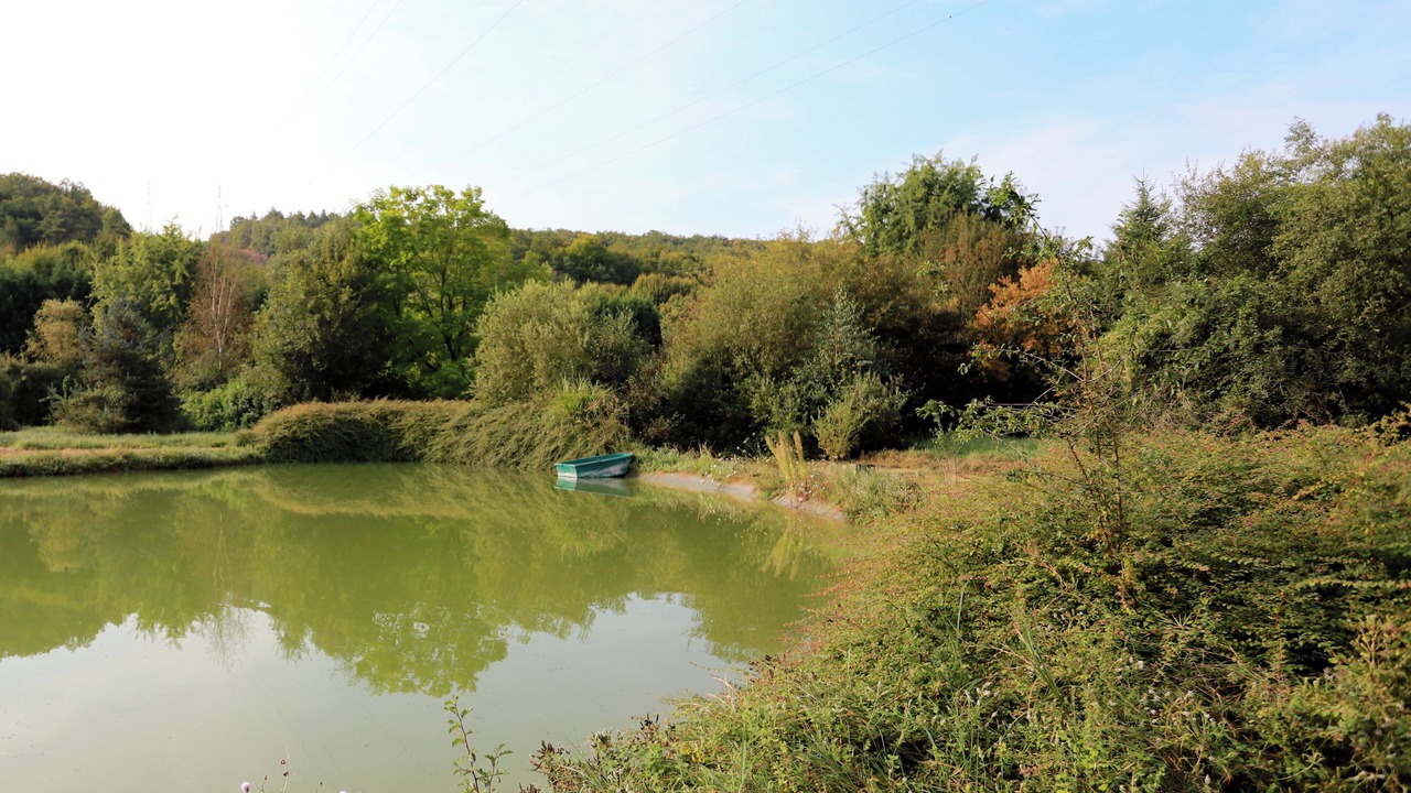 Photo of Others in Verlin