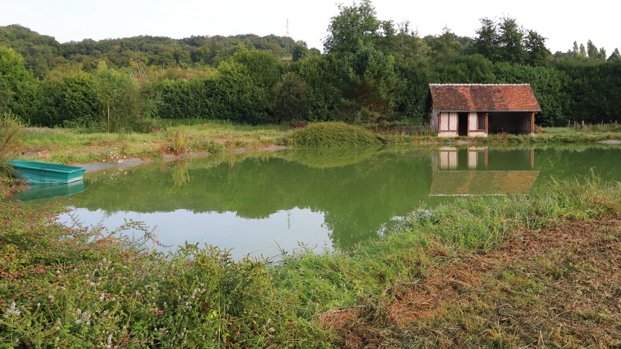 Photo of Outdoor in Verlin