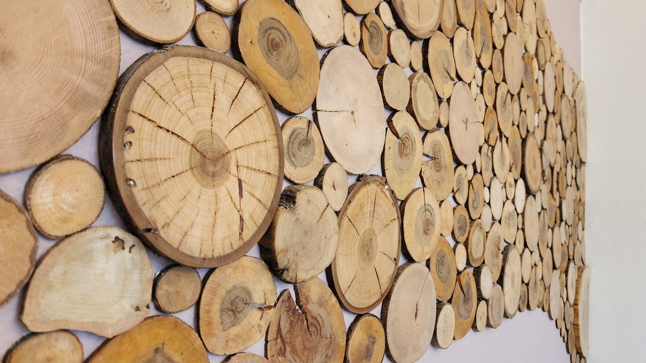 Photo of Others in Puttelange-aux-Lacs