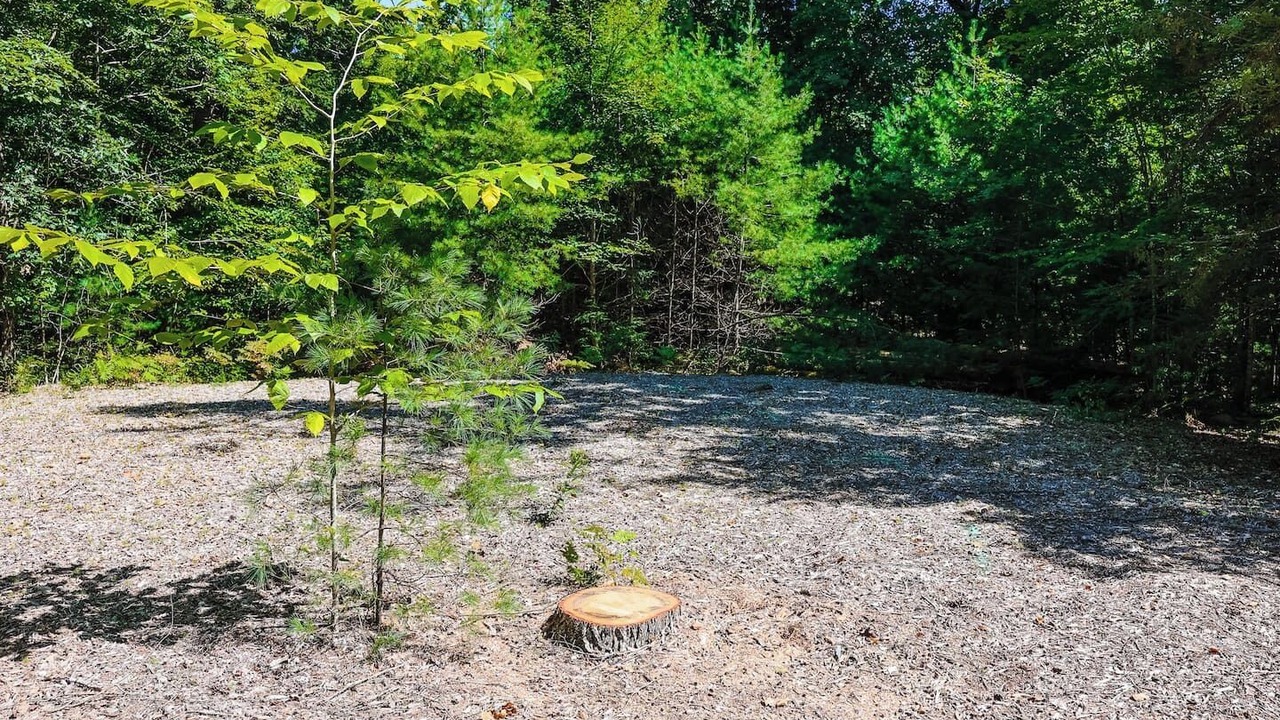 Photo of Outdoor in Brownfield