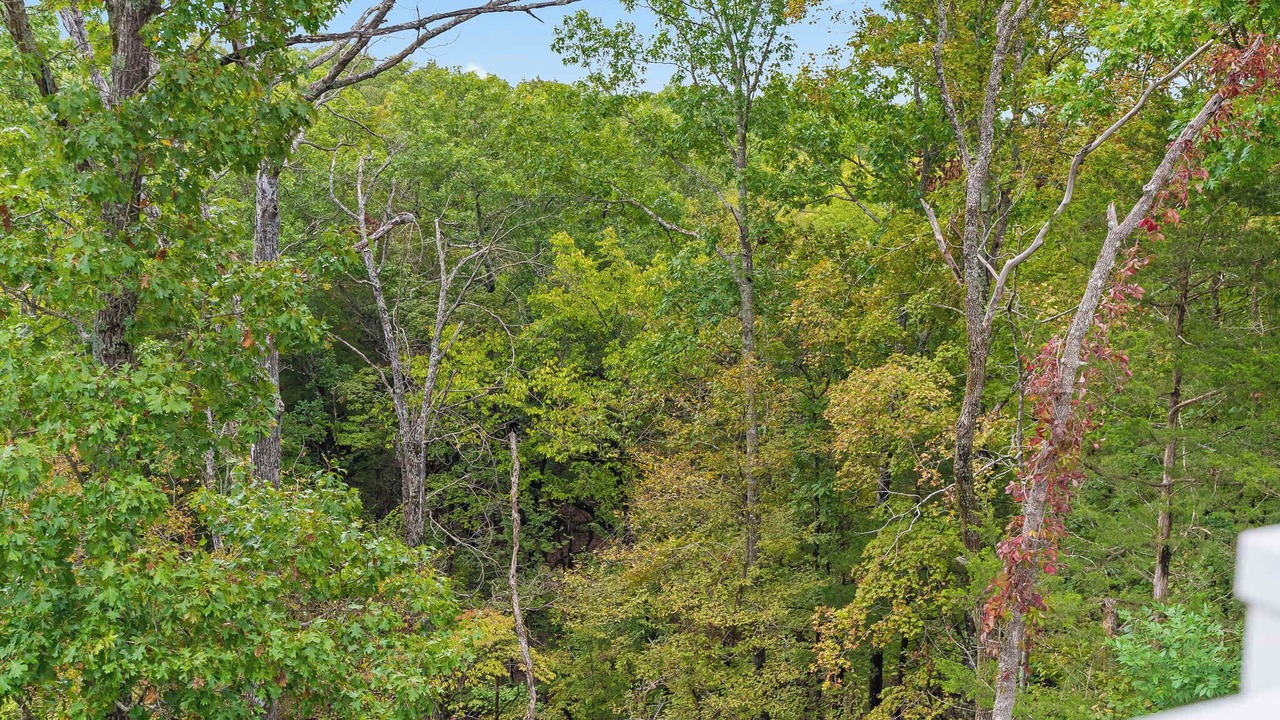 Photo of Others in Branson