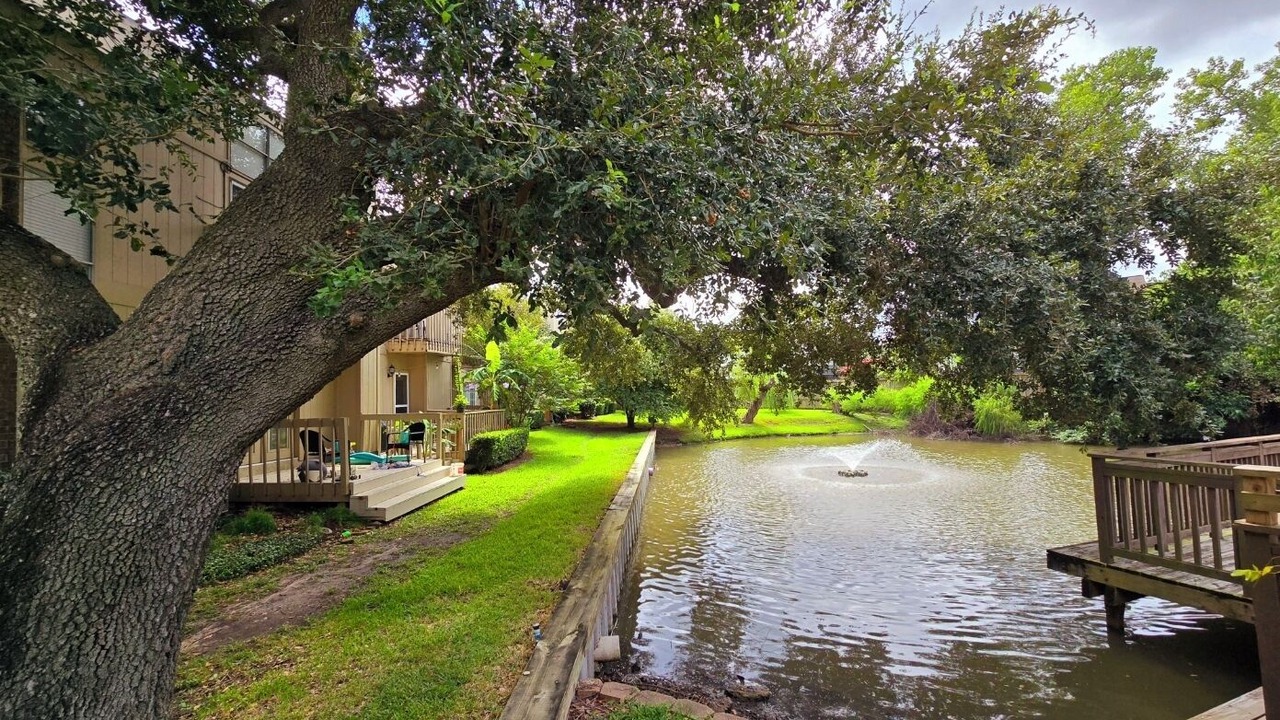Photo of Outdoor in George Bush Park/Eldridge