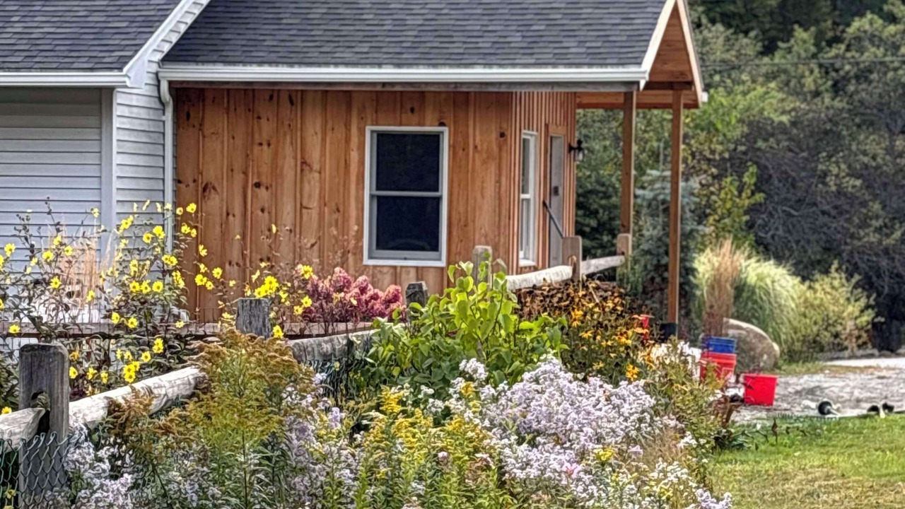 Photo of Outdoor in Ludlow