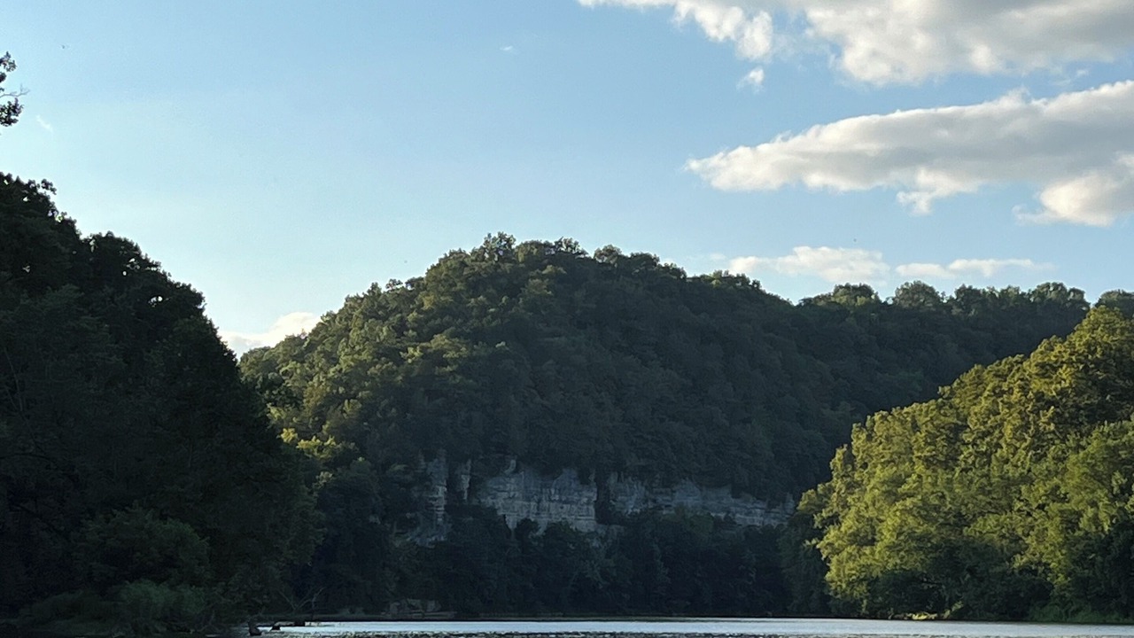 Photo of Others in Richmond