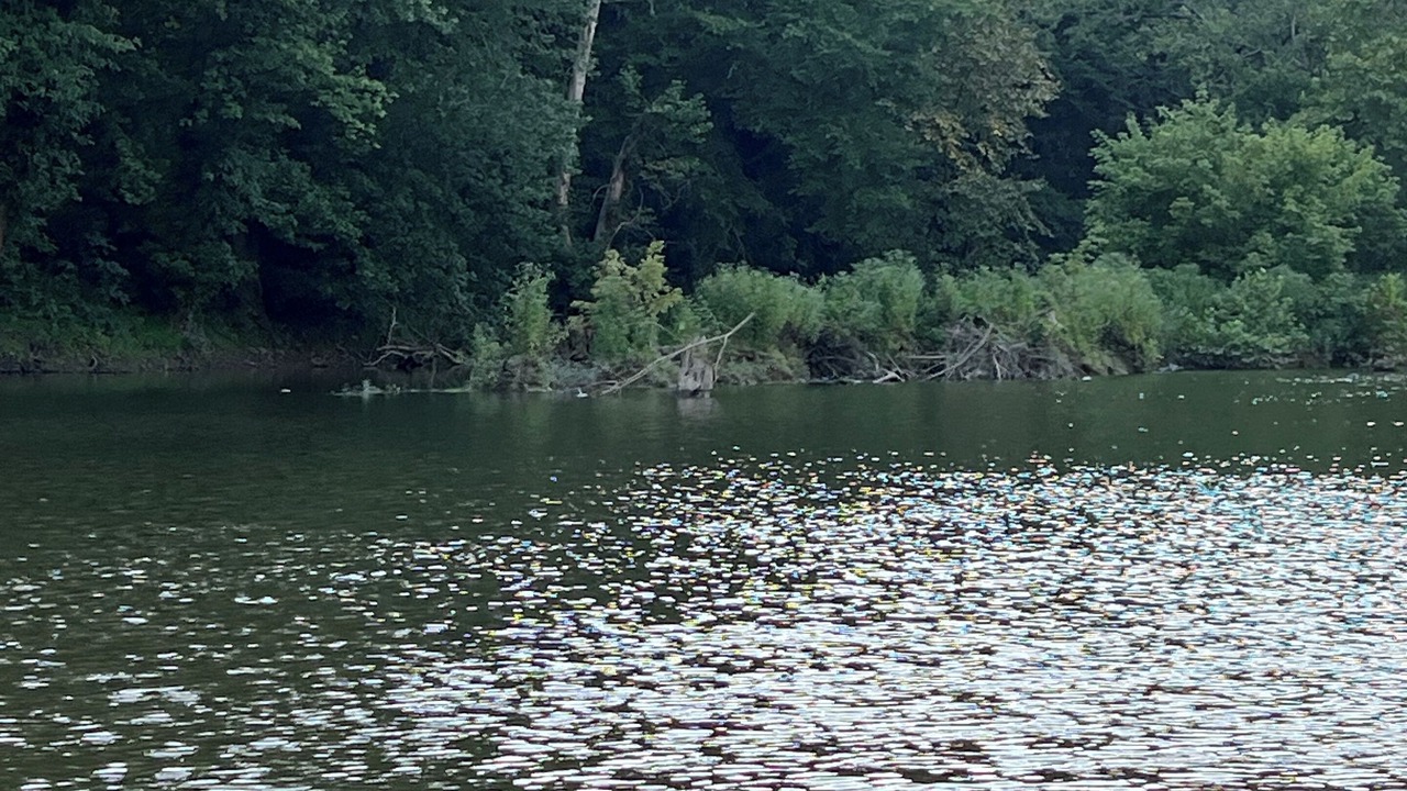 Photo of Others in Richmond