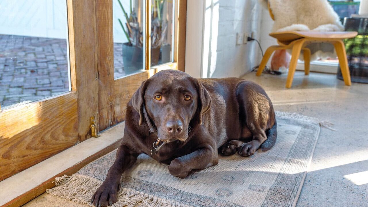 Photo of Others in Belmont