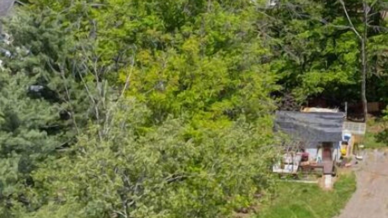 Photo of Outdoor in Windham