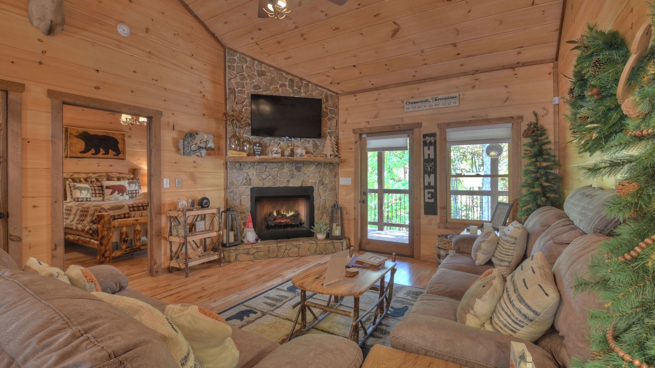 Photo of Livingroom in Copperhill