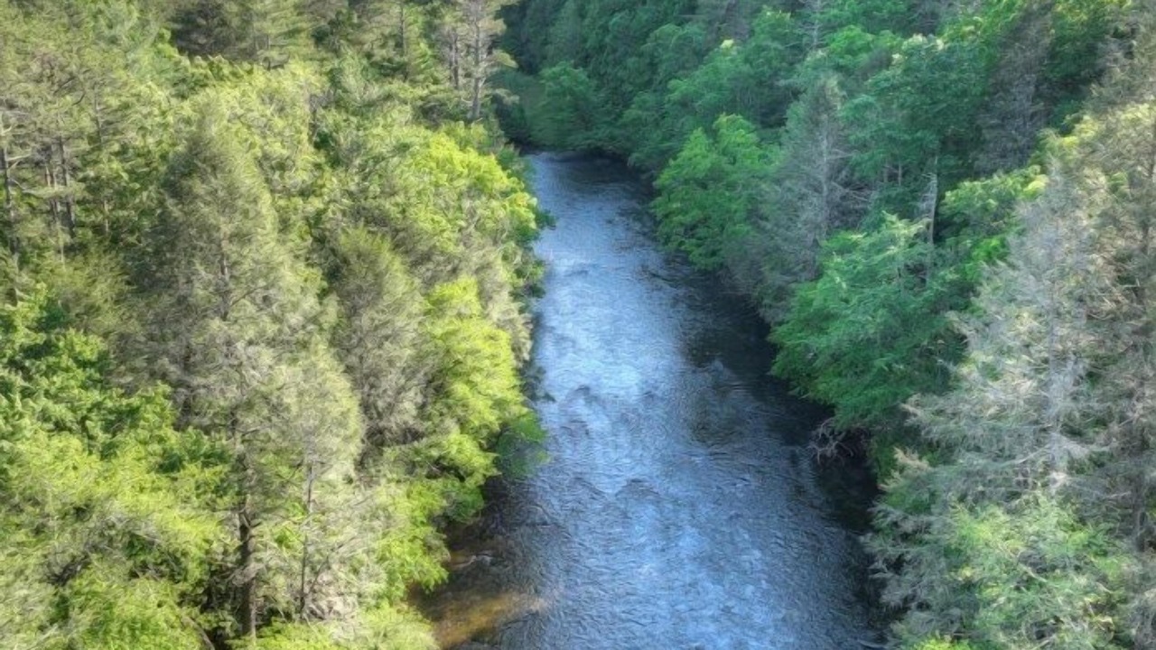 Photo of Others in Aska