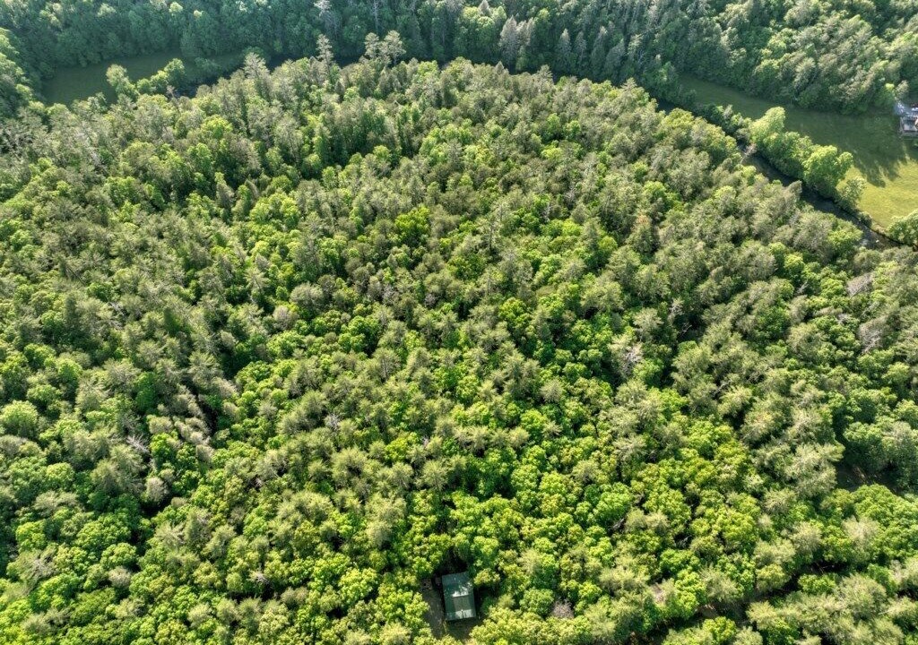 Photo of Outdoor in Aska