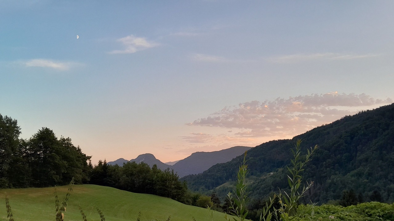 Photo of Others in Dingy-Saint-Clair