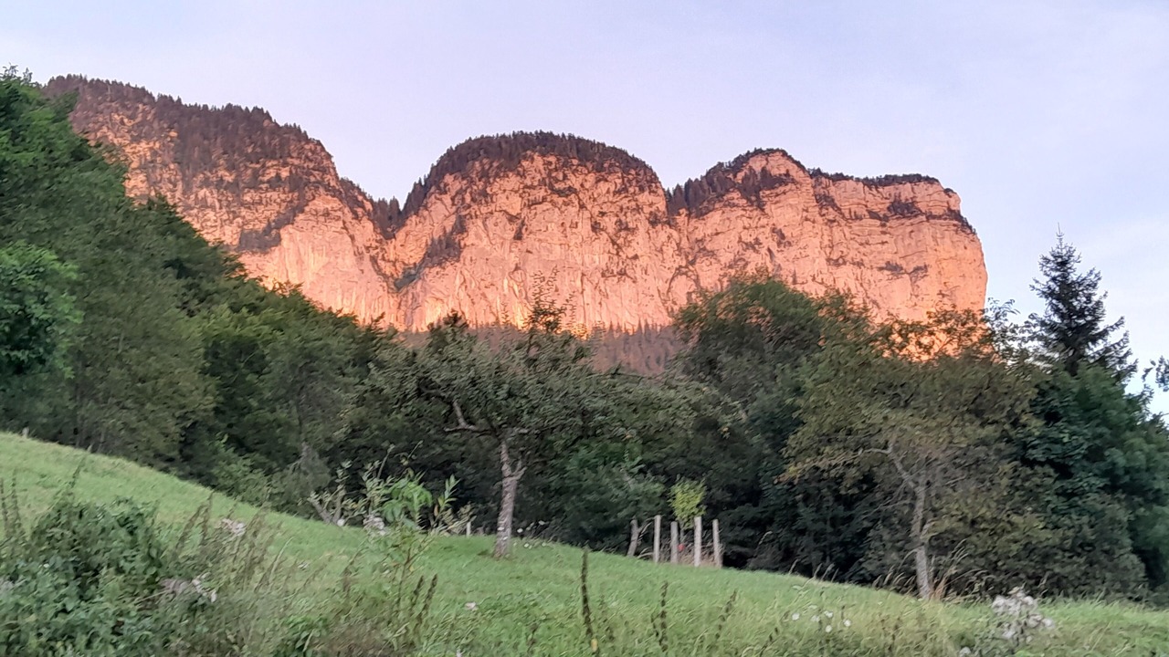 Photo of Others in Dingy-Saint-Clair