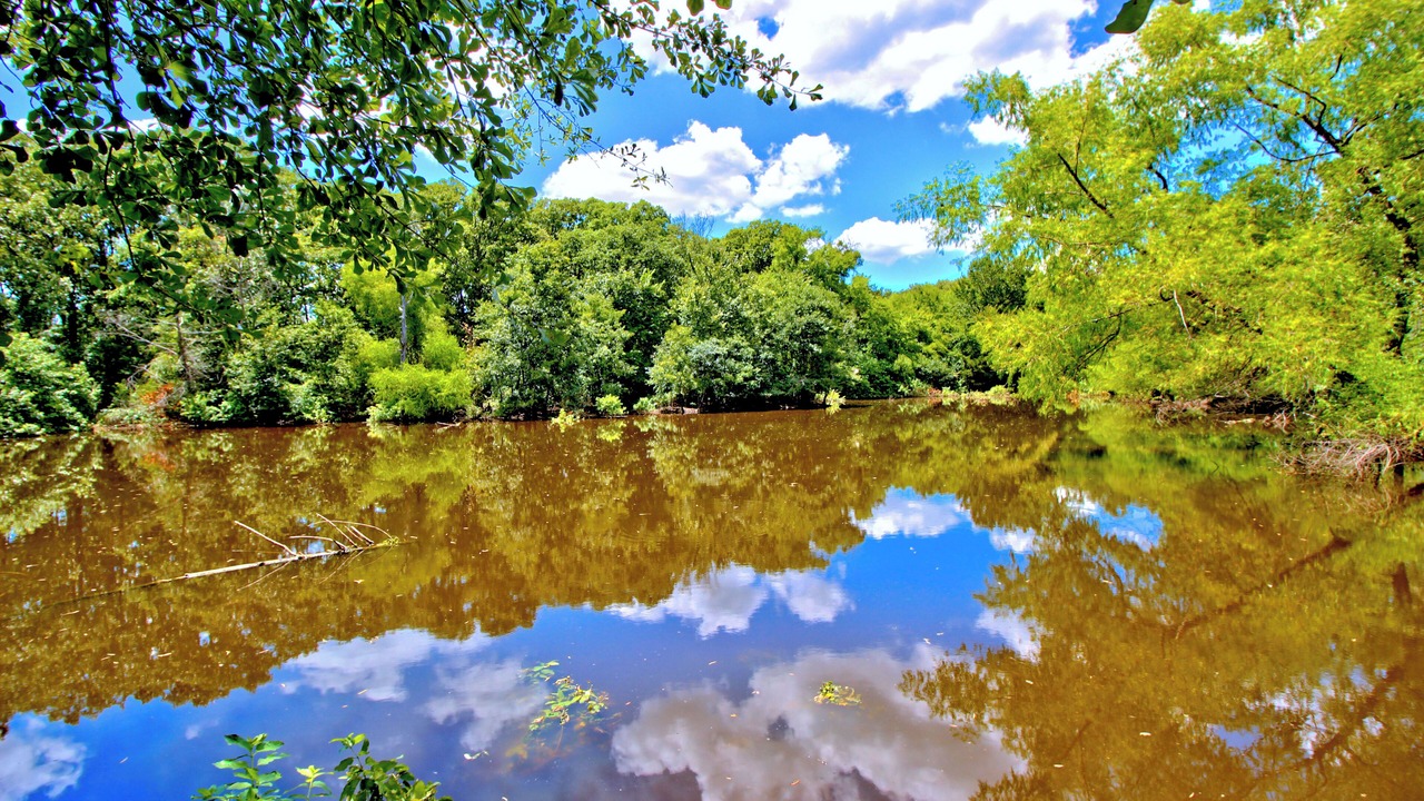 Photo of Outdoor in Wills Point