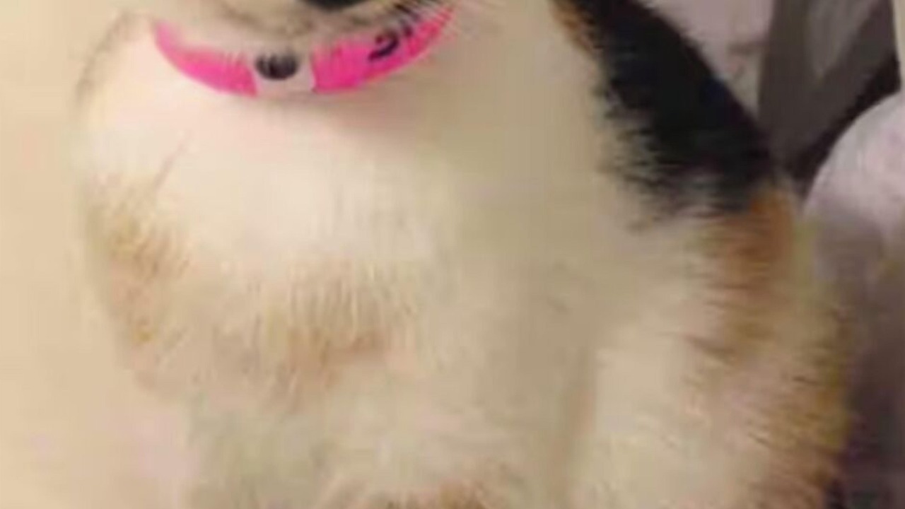 Photo of Others in Kings Langley