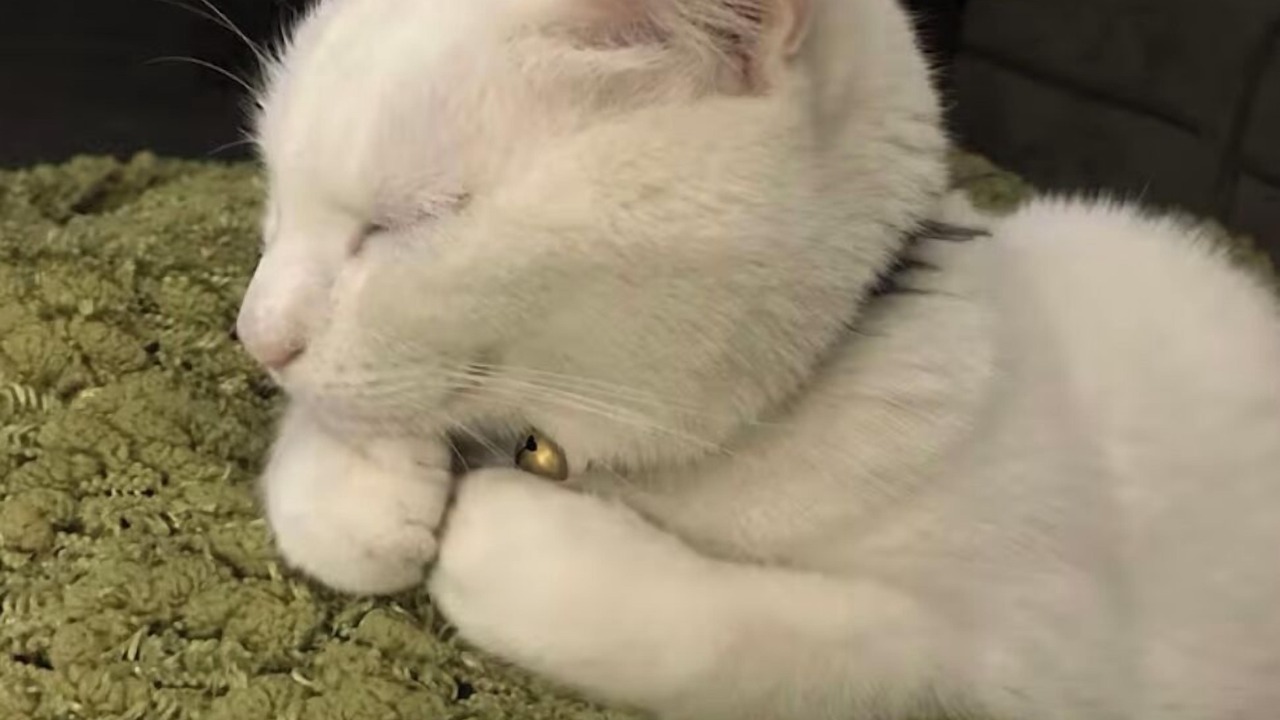 Photo of Others in Kings Langley