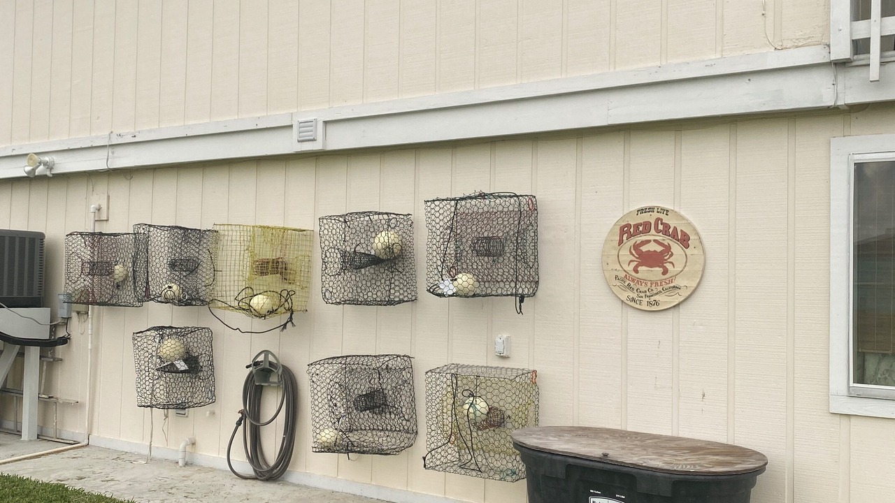 Photo of Outdoor in Rockport