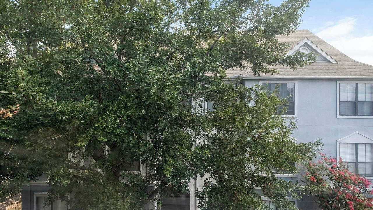 Photo of Outdoor in Briarforest