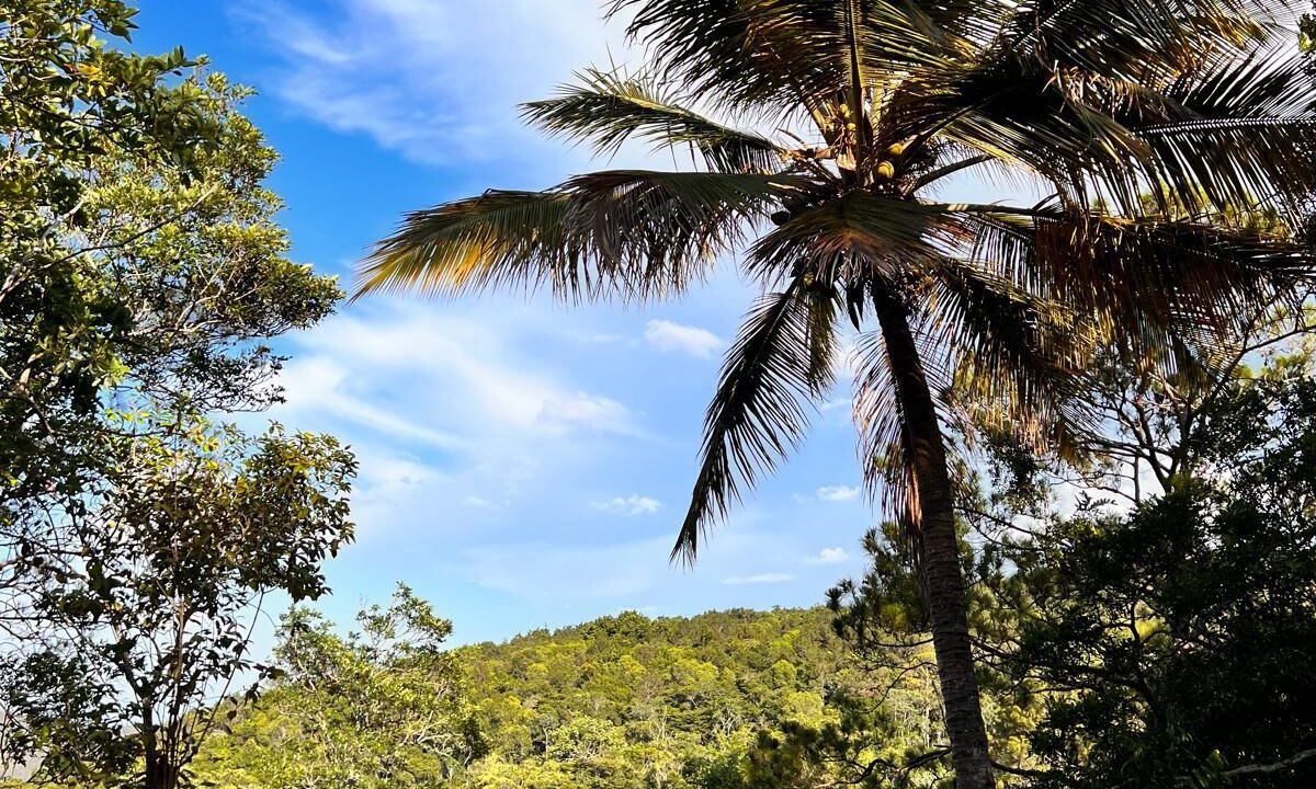 Photo of Others in La Vega Province