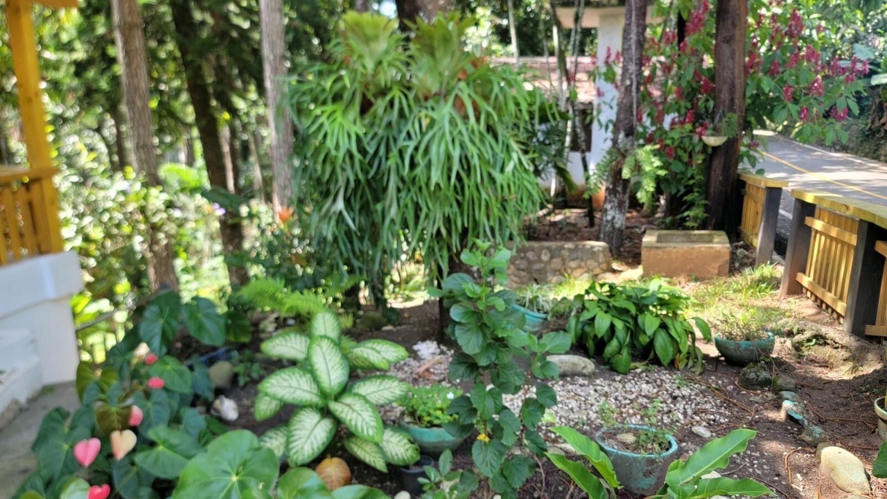 Photo of Outdoor in La Vega Province