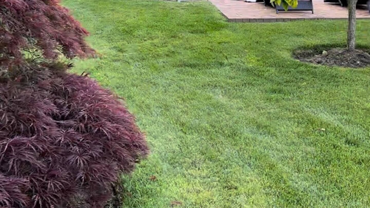 Photo of Outdoor in Massapequa