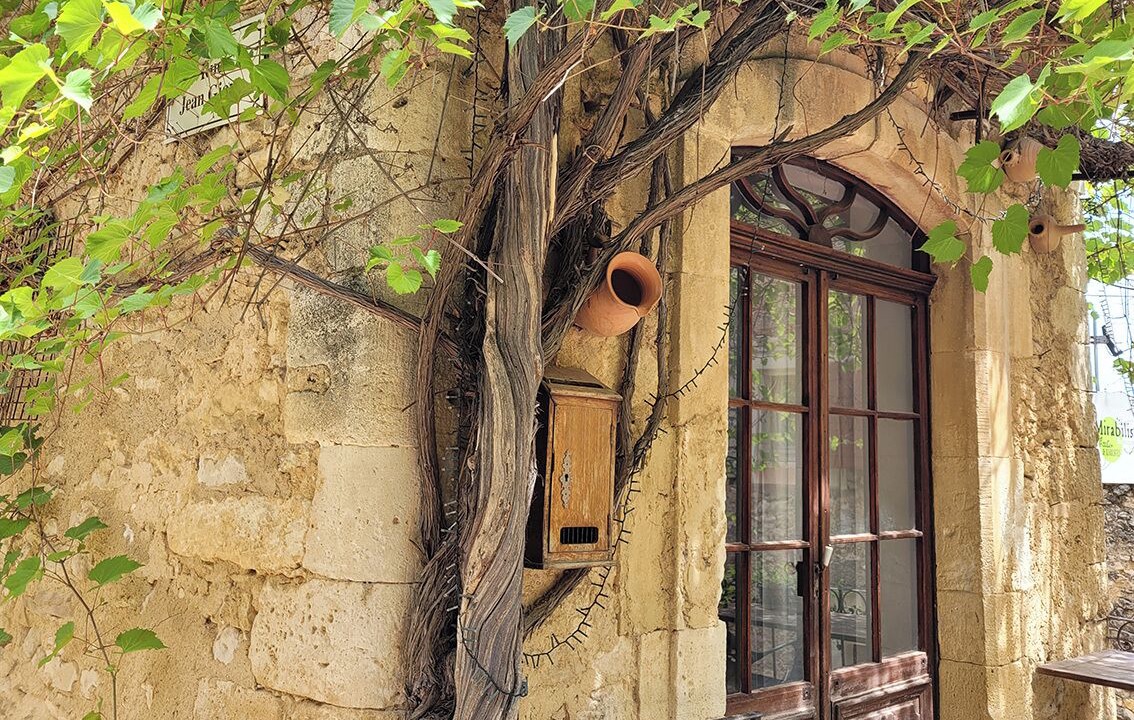Photo of Outdoor in Simiane-la-Rotonde